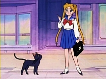 Sailor_Moon_DVD_gallery_198.jpg