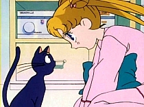 Sailor_Moon_DVD_gallery_263.jpg