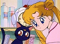 Sailor_Moon_DVD_gallery_285.jpg