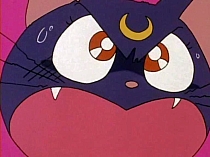 Sailor_Moon_DVD_gallery_309.jpg