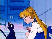 Sailor_Moon_DVD_gallery_317.jpg