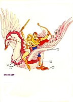 Shera_gallery_097.jpg