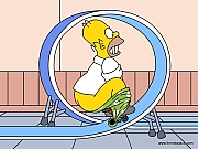 The_Simpsons_wallpaper_100.jpg