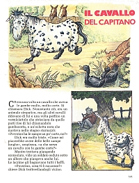 cavallo1.jpg